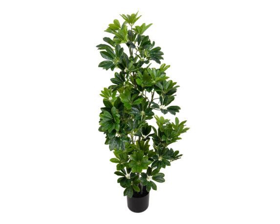 Real Touch Schefflera Con Vaso D43x115cm Pianta Artificiale In Plastica E Poliestere