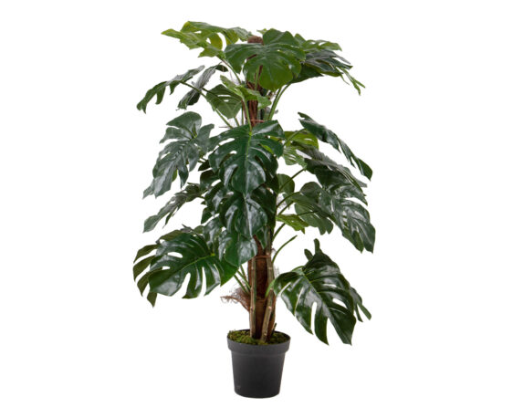 Monstera Con Vaso D77x136cm Pianta Artificiale In Plastica E Poliestere