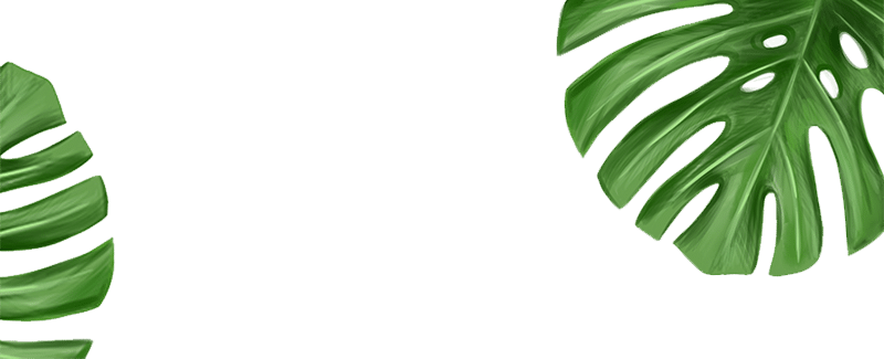 Banner Monstera