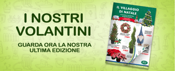 I Nostri Volantini